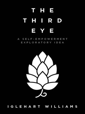 cover image of The Third Eye